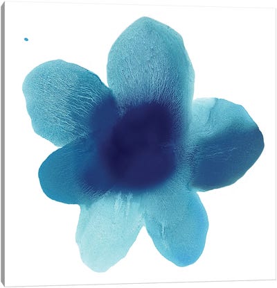 Blue Bloom I Canvas Art Print - Hannah Carlson