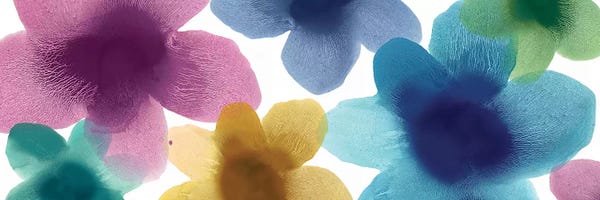 Hannah Carlson: Floral Blooms VIII by Hannah Carlson