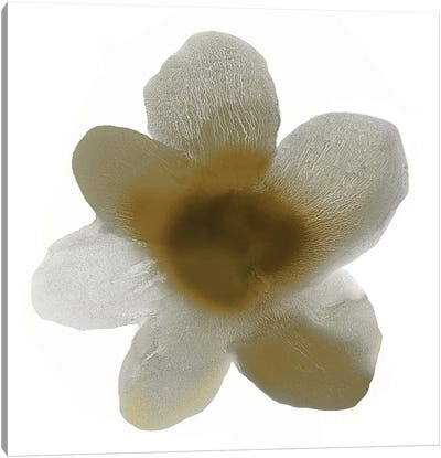 Taupe Bloom I Canvas Art Print - Hannah Carlson