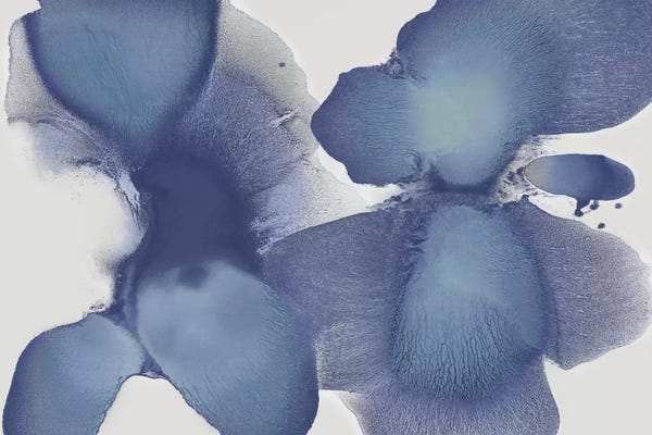 Animate Indigo II