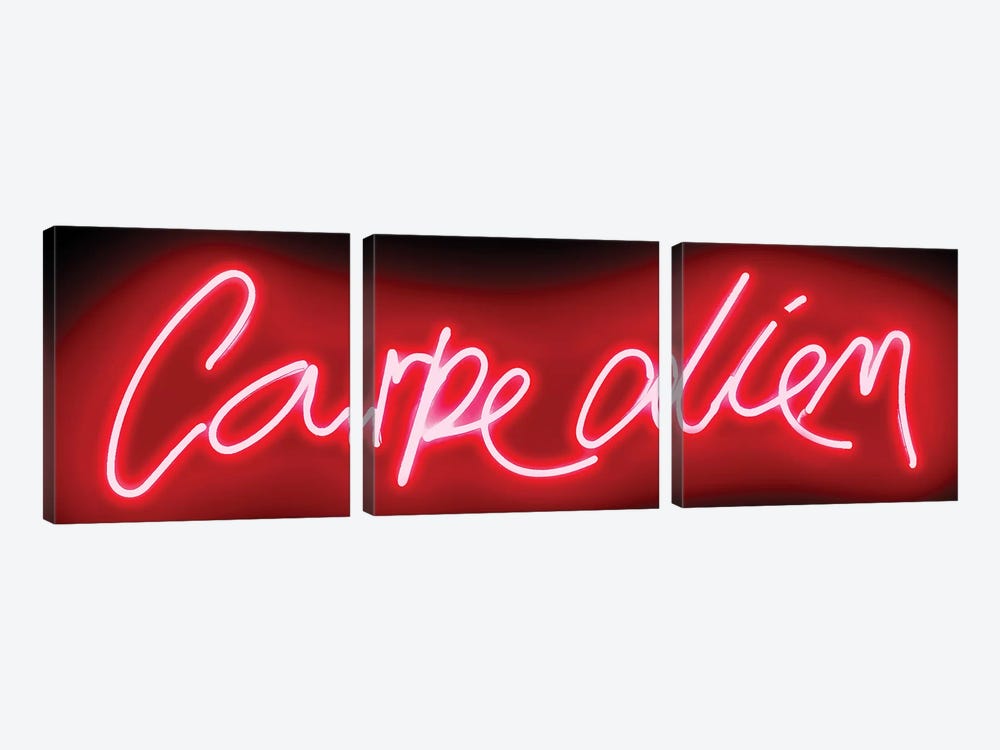 Neon Carpe Diem Red On Black by Hailey Carr 3-piece Canvas Artwork