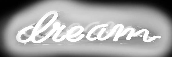 Neon: Neon Dream New White On Black by Hailey Carr