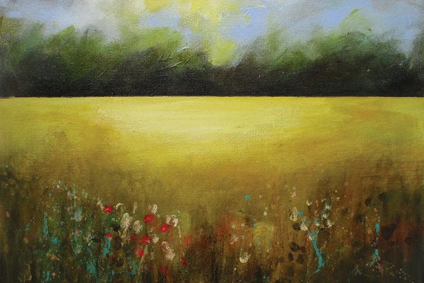 Heidi Clawson: Golden Meadow by Heidi Clawson