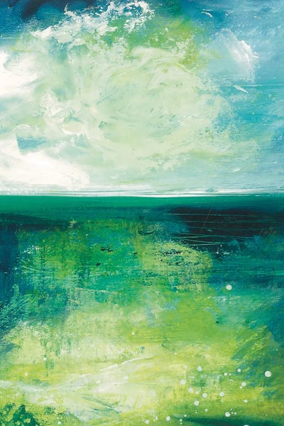 Heidi Clawson: Sea Foam by Heidi Clawson