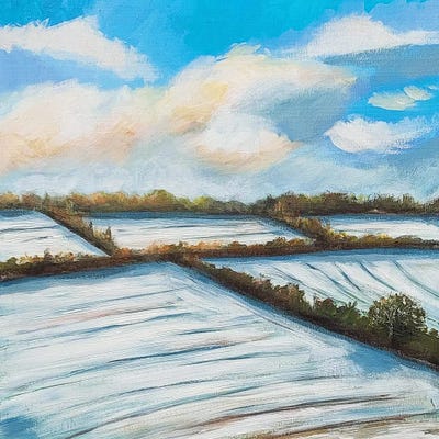 Winter Fields by Heidi Clawson canvas print