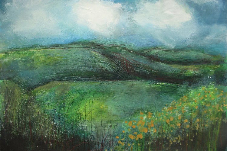 Blossoming Foothills by Heidi Clawson wall art