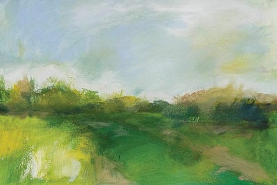 Between The Hedgerows by Heidi Clawson canvas print