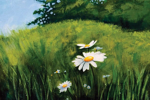 Daisies: Daisy Meadow by Heidi Clawson