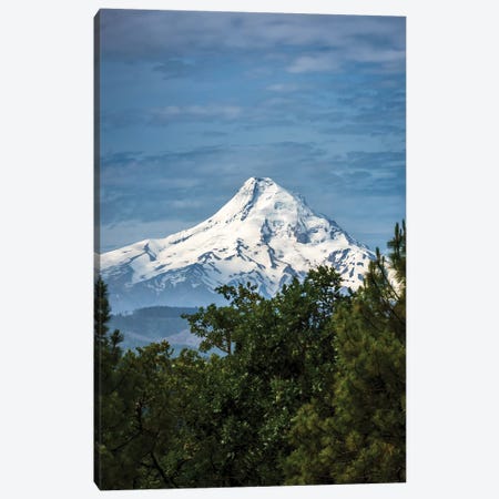Snowcapped Mt. Jefferson framed by trees in the foreground Canvas Print #HDD13} by Sheila Haddad Canvas Artwork
