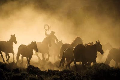 A wrangler herding horses through backlit dust cloud in golden light of sunrise by Sheila Haddad art print