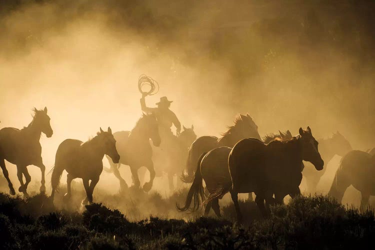 A wrangler herding horses through backlit dust cloud in golden light of sunrise