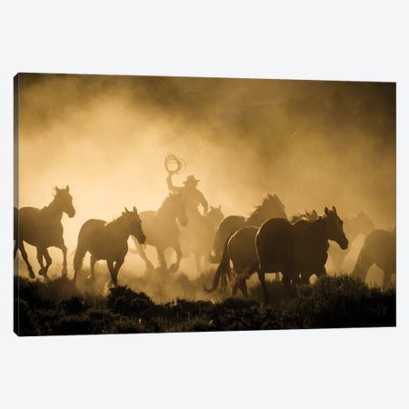 A wrangler herding horses through backlit dust cloud in golden light of sunrise Canvas Print #HDD3} by Sheila Haddad Canvas Wall Art