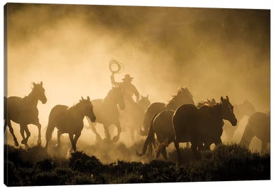 A wrangler herding horses through backlit dust cloud in golden light of sunrise Canvas Art Print