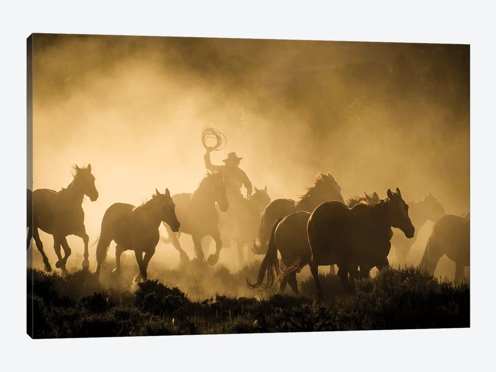 A wrangler herding horses through backlit dust cloud in golden light of sunrise by Sheila Haddad 1-piece Canvas Artwork