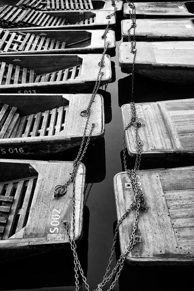 Cambridge: Punts Cambridge UK by Stephen Hodgetts