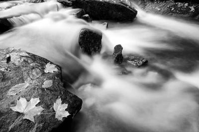 Autumn Water by Stephen Hodgetts metal wall art