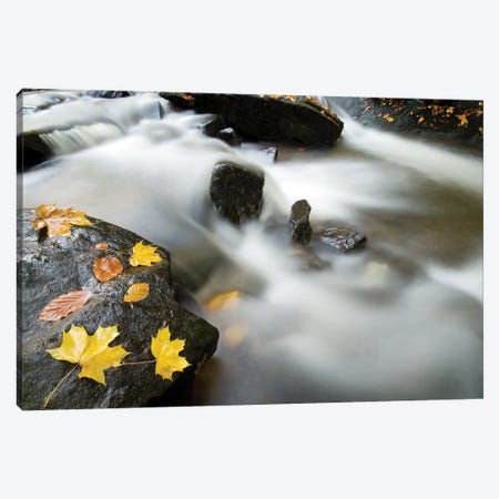 Autumn Water Color Canvas Print #HDG115} by Stephen Hodgetts Canvas Art