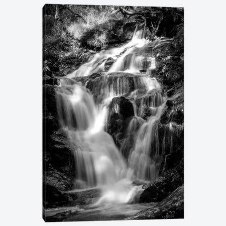 Armadale Waterfall Canvas Print #HDG1} by Stephen Hodgetts Canvas Art Print