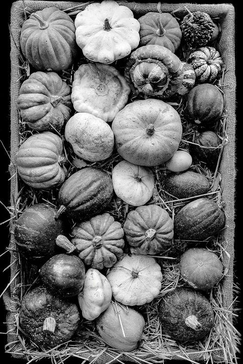 Basket Of English Squash