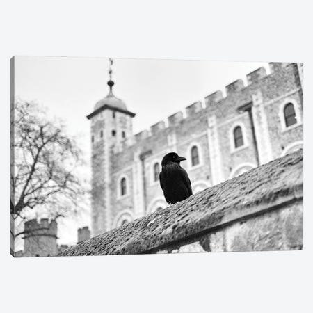 The Raven Tower Of London Canvas Print #HDG29} by Stephen Hodgetts Canvas Artwork