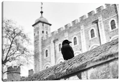 The Raven Tower Of London Canvas Art Print - Stephen Hodgetts
