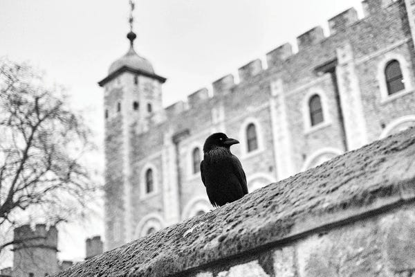 London: The Raven Tower Of London by Stephen Hodgetts