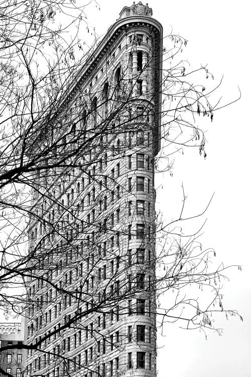 Flatiron Building Through The Trees New York