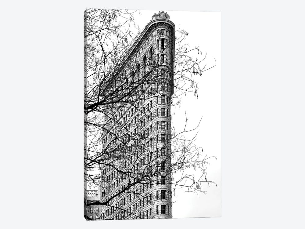 Flatiron Building Through The Trees New York by Stephen Hodgetts 1-piece Canvas Art