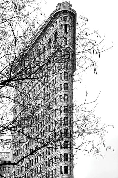 Flatiron Building: Flatiron Building Through The Trees New York by Stephen Hodgetts