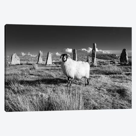 Callanish Stones Isle Of Lewis Canvas Print #HDG34} by Stephen Hodgetts Canvas Artwork