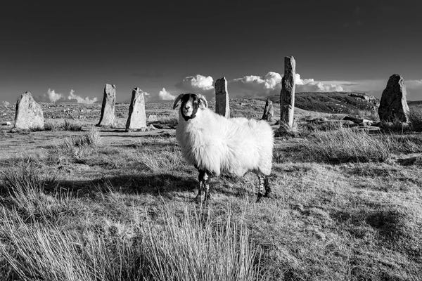 Stephen Hodgetts: Callanish Stones Isle Of Lewis by Stephen Hodgetts