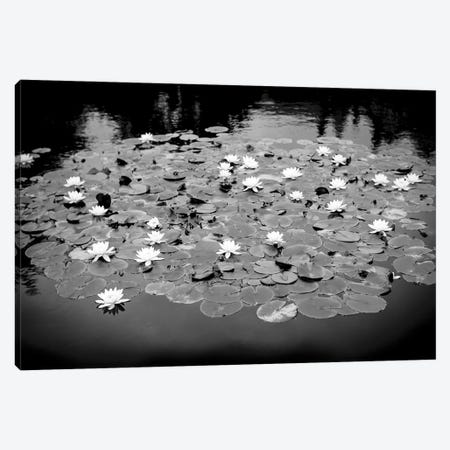 Lilly Pond Canvas Print #HDG44} by Stephen Hodgetts Canvas Print