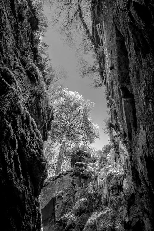 Luds Church Peak District by Stephen Hodgetts wall art