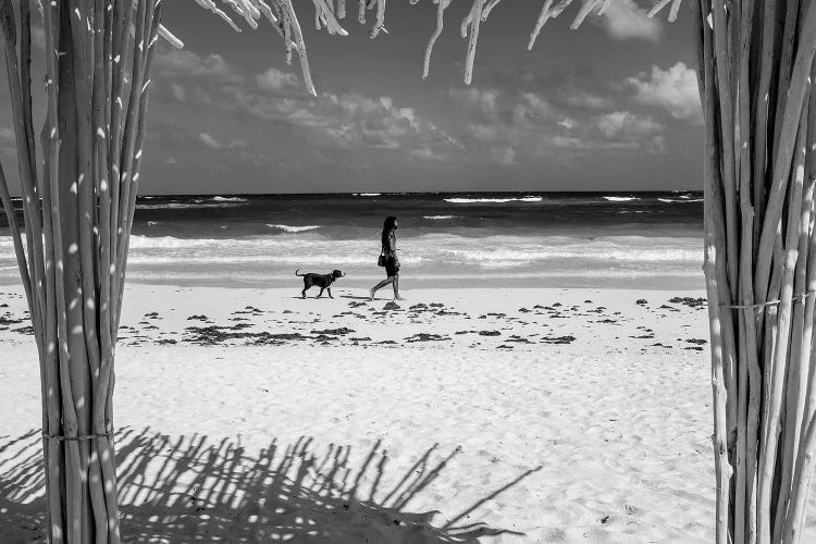 One Man And His Dog by Stephen Hodgetts wall art