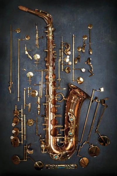 Stephen Hodgetts: Deconstructed Saxophone by Stephen Hodgetts