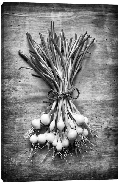 English Spring Onions Canvas Art Print - Still Life Photography