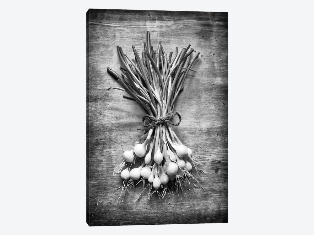 English Spring Onions by Stephen Hodgetts 1-piece Canvas Art