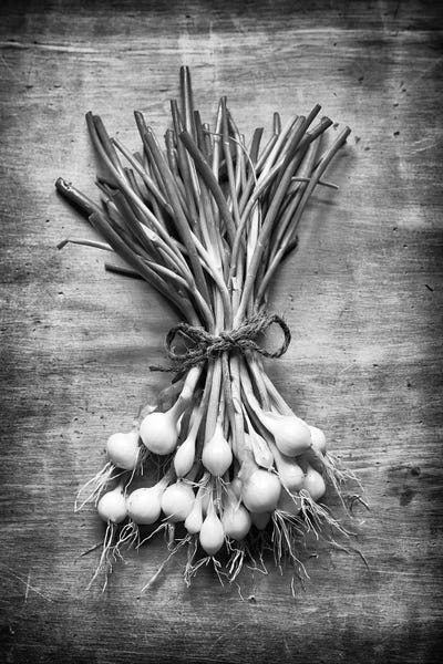Stephen Hodgetts: English Spring Onions by Stephen Hodgetts