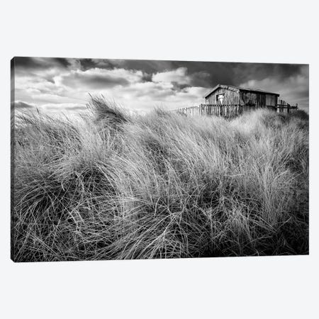 The Wardens Hut Beadnell Canvas Print #HDG68} by Stephen Hodgetts Canvas Wall Art