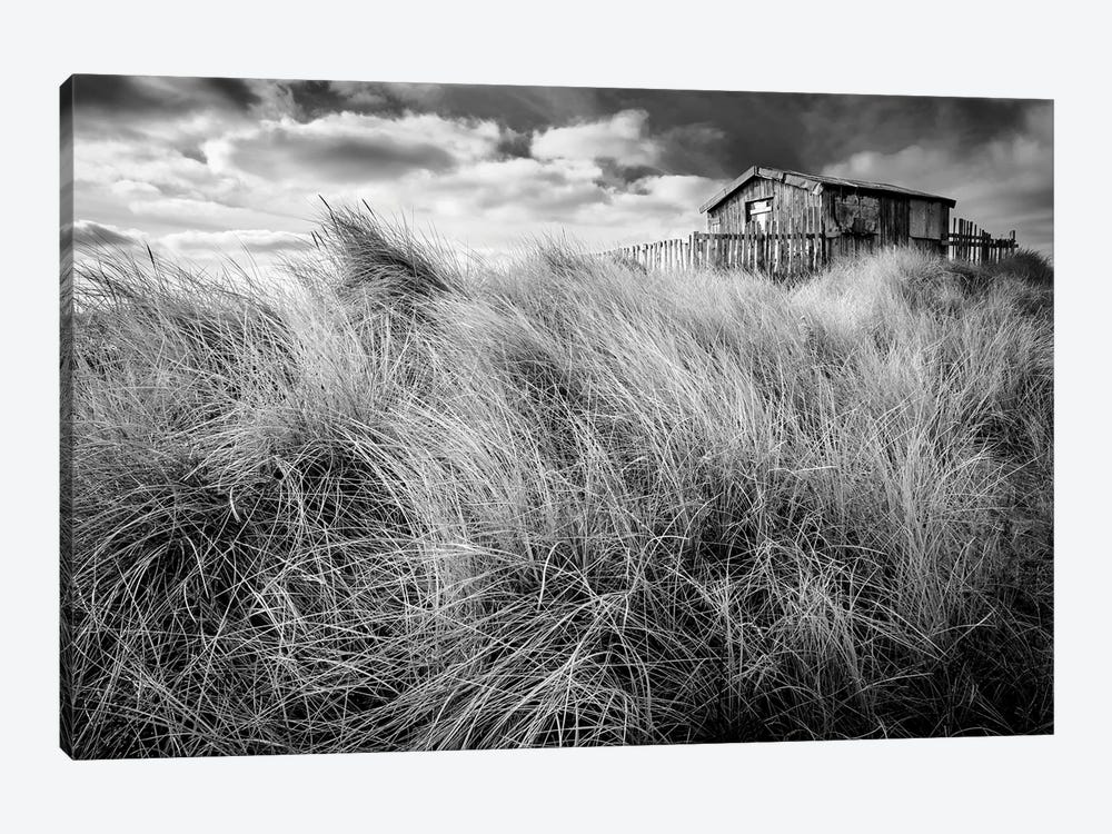The Wardens Hut Beadnell by Stephen Hodgetts 1-piece Canvas Print