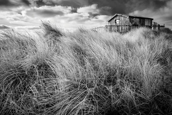 Stephen Hodgetts: The Wardens Hut Beadnell by Stephen Hodgetts