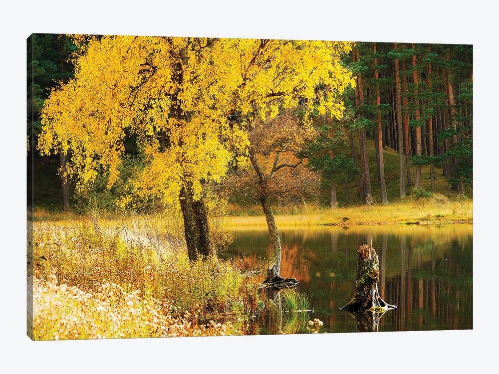 Autumn In Scotland by Stephen Hodgetts 1-piece Canvas Print