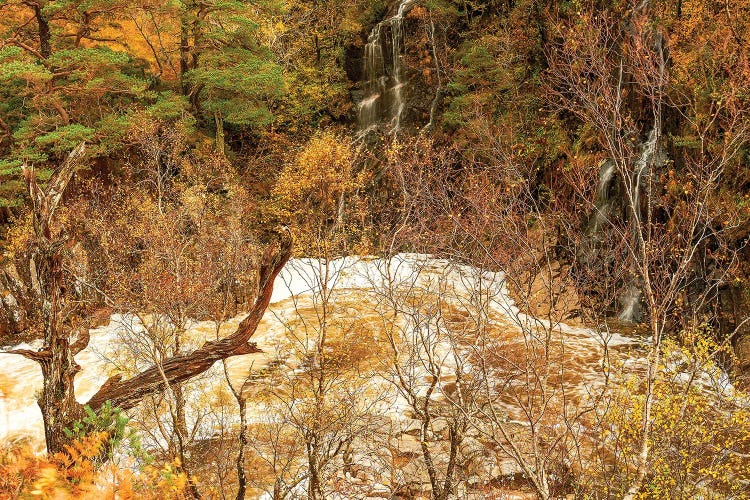 Autumn Glenn Etive Scotland