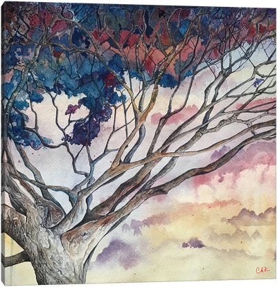 Big Tree In Kea'Au Canvas Art Print - Hidden Hale
