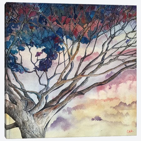 Big Tree In Kea'Au Canvas Print #HDH15} by Hidden Hale Art Print