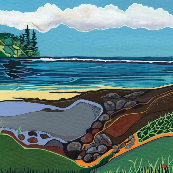 Fresh Perspectives: Secret Cove by Hidden Hale