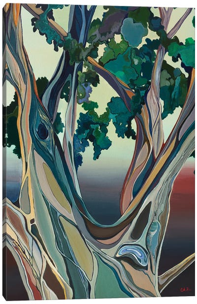 Big Tree In Honolulu Canvas Art Print - Hidden Hale