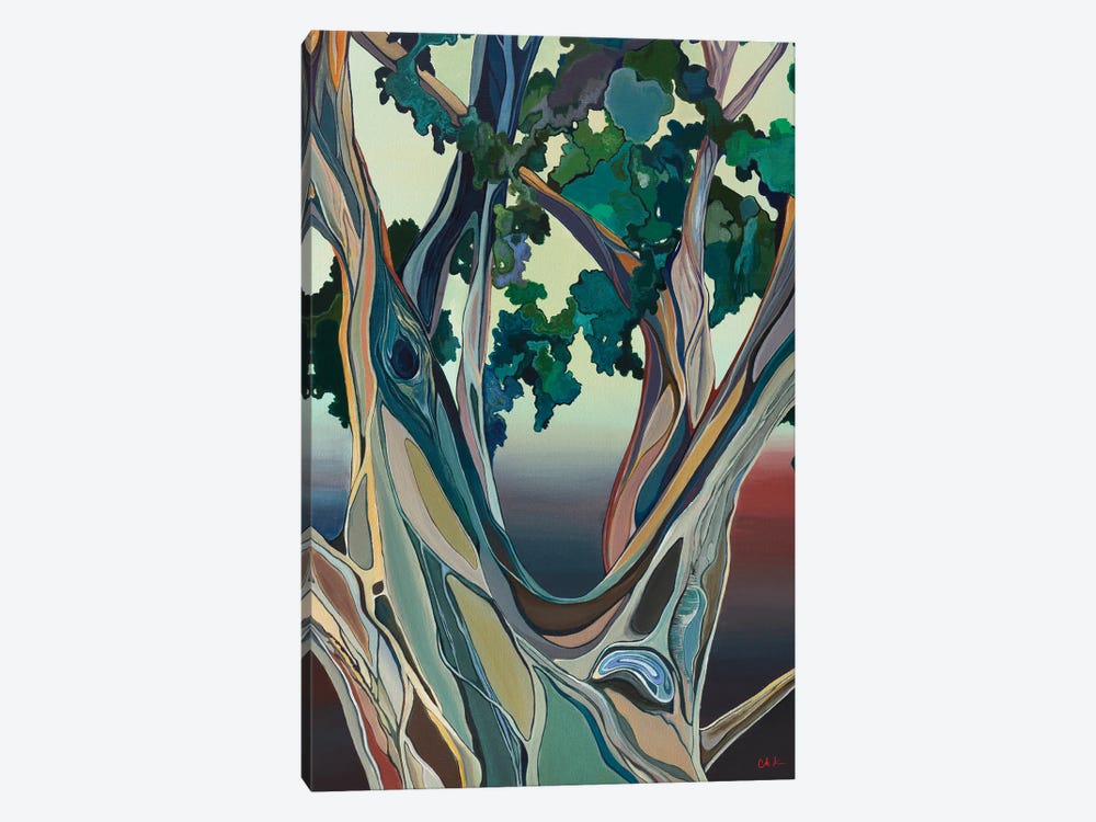 Big Tree In Honolulu by Hidden Hale 1-piece Canvas Print