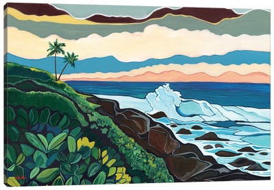 Coastline On Hawaii Island Canvas Art Print - Hidden Hale