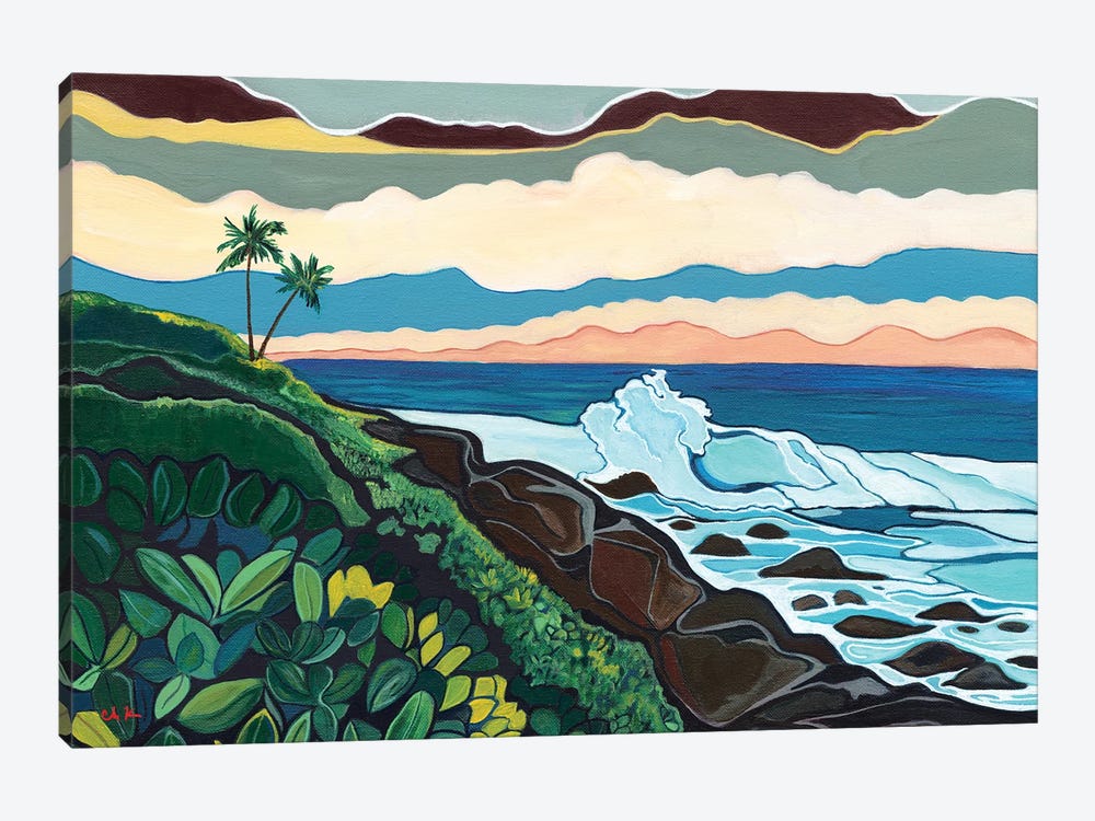 Coastline On Hawaii Island by Hidden Hale 1-piece Canvas Art